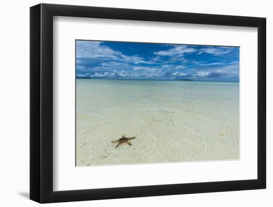 Sea Star in the Sand on the Rock Islands, Palau, Central Pacific, Pacific-Michael Runkel-Framed Photographic Print