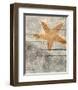 Sea Star-Irena Orlov-Framed Art Print