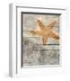 Sea Star-Irena Orlov-Framed Art Print