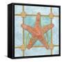 Sea Star-Bee Sturgis-Framed Stretched Canvas