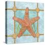 Sea Star-Bee Sturgis-Stretched Canvas