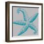 Sea Stars I-Sabine Berg-Framed Art Print