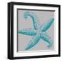 Sea Stars I-Sabine Berg-Framed Art Print