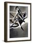 Sea Stars I-Alan Hausenflock-Framed Photographic Print