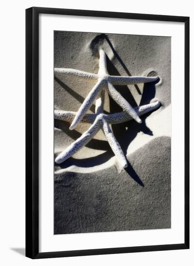 Sea Stars I-Alan Hausenflock-Framed Photographic Print