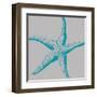 Sea Stars II-Sabine Berg-Framed Art Print