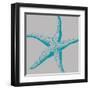 Sea Stars II-Sabine Berg-Framed Art Print