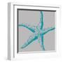 Sea Stars II-Sabine Berg-Framed Art Print