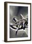 Sea Stars II-Alan Hausenflock-Framed Premium Photographic Print