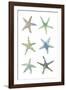 Sea Stars-Sandra Jacobs-Framed Giclee Print