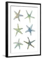 Sea Stars-Sandra Jacobs-Framed Giclee Print