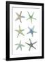 Sea Stars-Sandra Jacobs-Framed Giclee Print