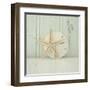 Sea Still I-Elizabeth Jordan-Framed Art Print