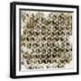 Black Frame