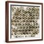 Brown Frame