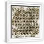 White Frame