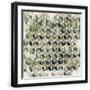 Black Frame