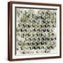 Brown Frame