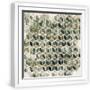 White Frame