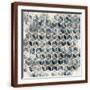 Brown Frame
