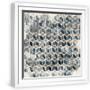 White Frame