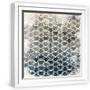White Frame