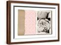 Brown Frame