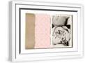White Frame