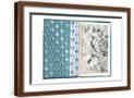 Brown Frame