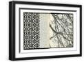 Black Frame