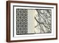 Brown Frame