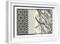 White Frame