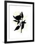 Gramercy Black