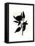 Canvas Black