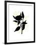 Gramercy Black