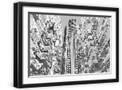 Black Frame