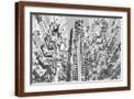 Brown Frame