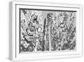 White Frame