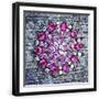 Black Frame