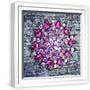 White Frame
