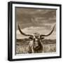 Black Frame