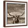 Brown Frame