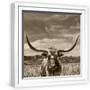 White Frame