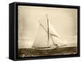 Canvas Black