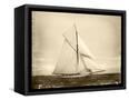 Canvas Black