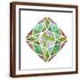Brown Frame
