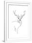 Gramercy White