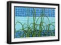 Black Frame