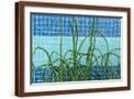 Brown Frame
