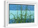 White Frame